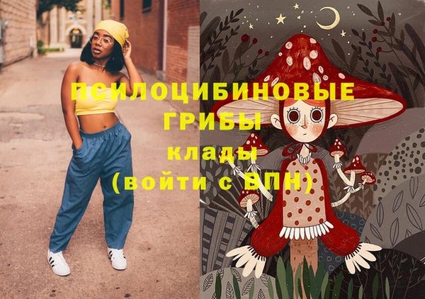 соль ск Балабаново