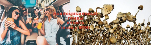соль ск Балабаново