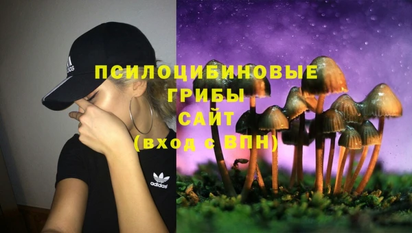 тгк Баксан