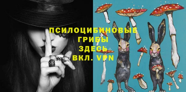 соль ск Балабаново