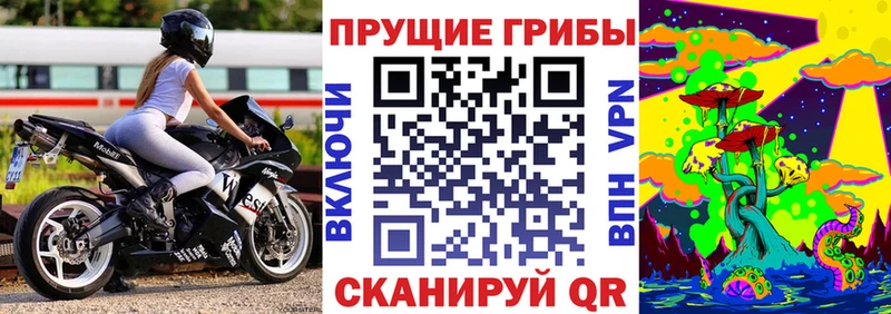 Галлюциногенные грибы прущие грибы Будённовск